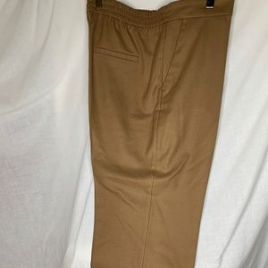 Zara Cropped Ankle Slacks